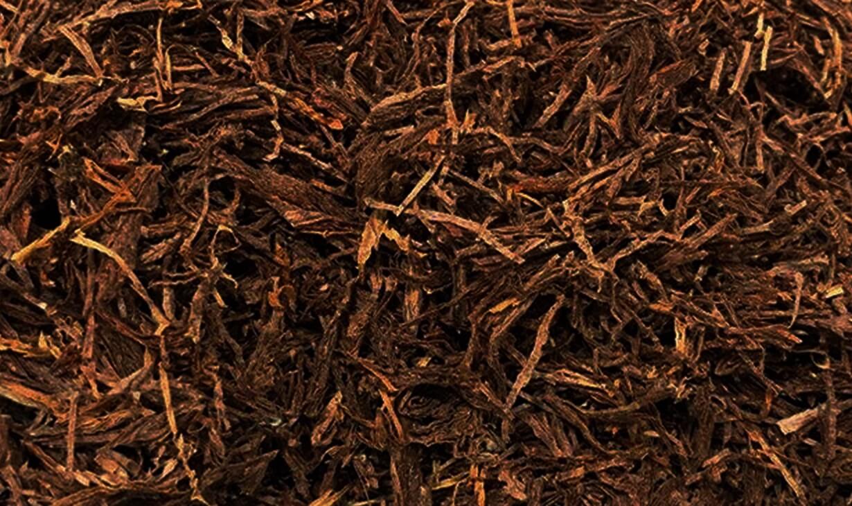 Ploom X үшін көбірек дәм шығару
